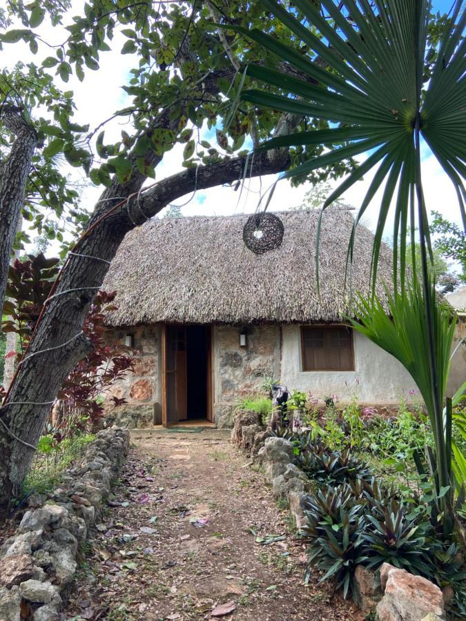 Encantadora Villa Maya Tradicional En Rancho Agroecologico Tzucaceb Exterior photo