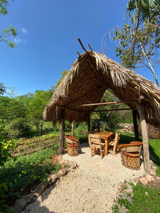 Encantadora Villa Maya Tradicional En Rancho Agroecologico Tzucaceb Exterior photo