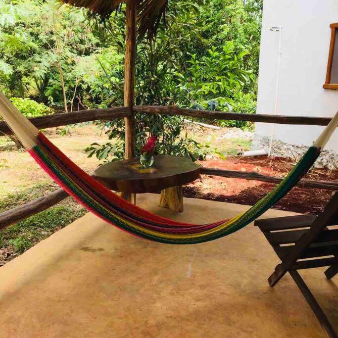 Encantadora Villa Maya Tradicional En Rancho Agroecologico Tzucaceb Exterior photo