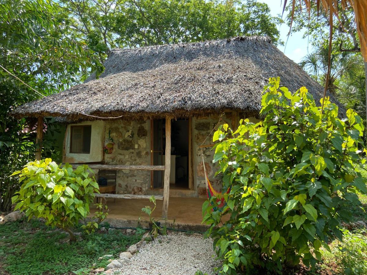 Encantadora Villa Maya Tradicional En Rancho Agroecologico Tzucaceb Exterior photo