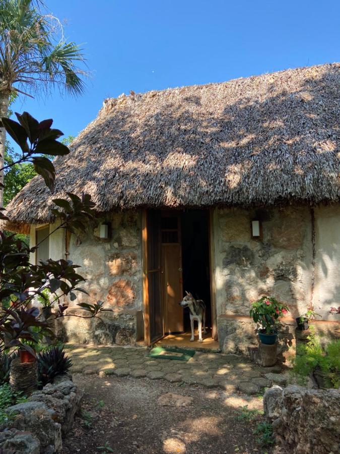 Encantadora Villa Maya Tradicional En Rancho Agroecologico Tzucaceb Exterior photo