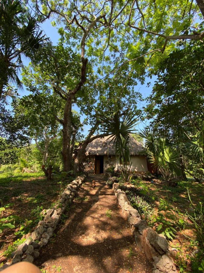 Encantadora Villa Maya Tradicional En Rancho Agroecologico Tzucaceb Exterior photo