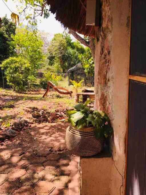 Encantadora Villa Maya Tradicional En Rancho Agroecologico Tzucaceb Exterior photo