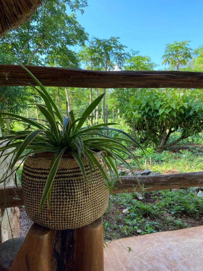 Encantadora Villa Maya Tradicional En Rancho Agroecologico Tzucaceb Exterior photo