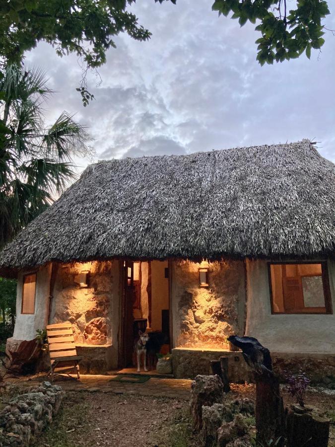 Encantadora Villa Maya Tradicional En Rancho Agroecologico Tzucaceb Exterior photo