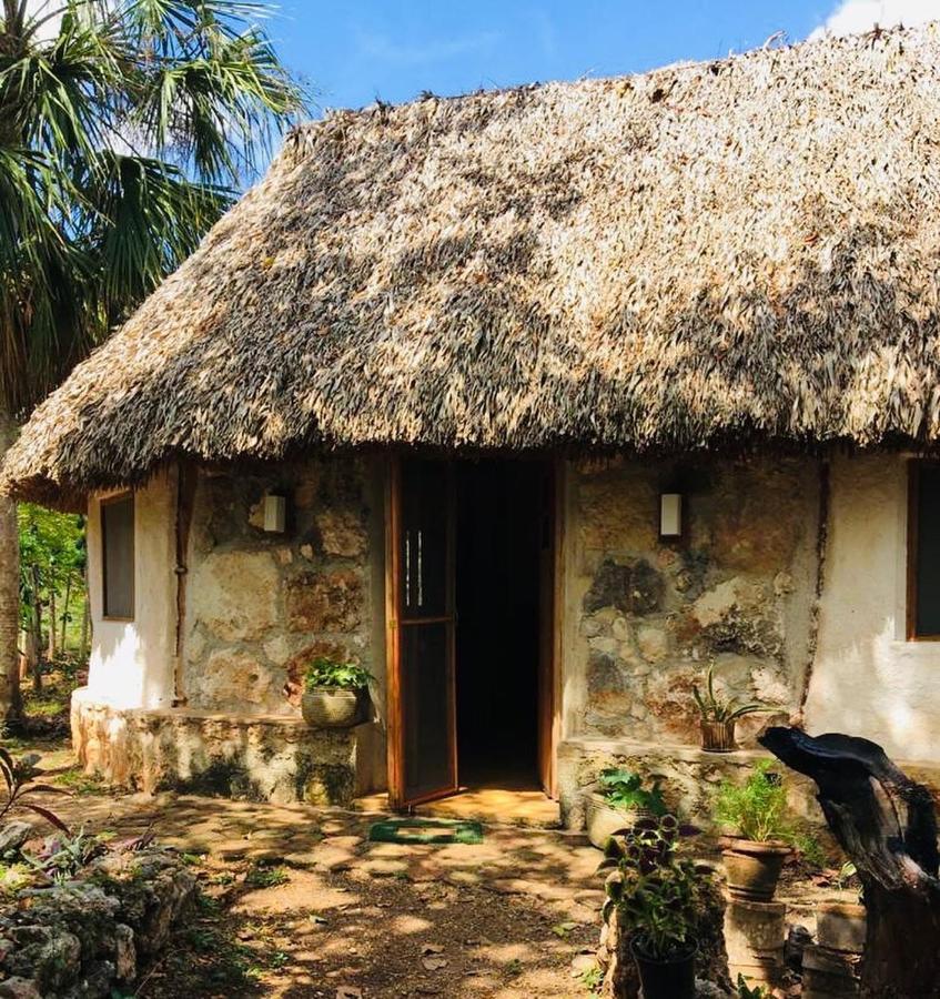 Encantadora Villa Maya Tradicional En Rancho Agroecologico Tzucaceb Exterior photo