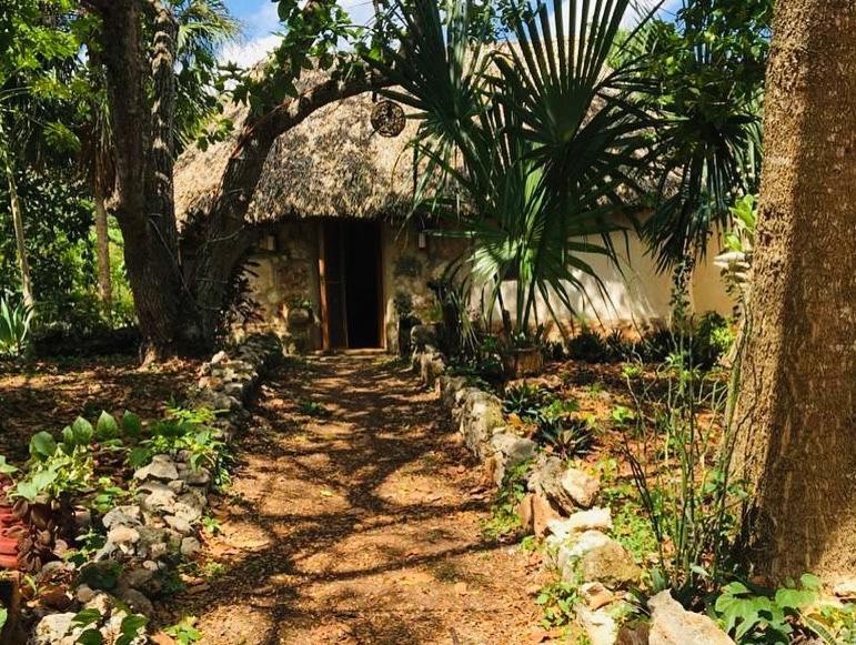 Encantadora Villa Maya Tradicional En Rancho Agroecologico Tzucaceb Exterior photo