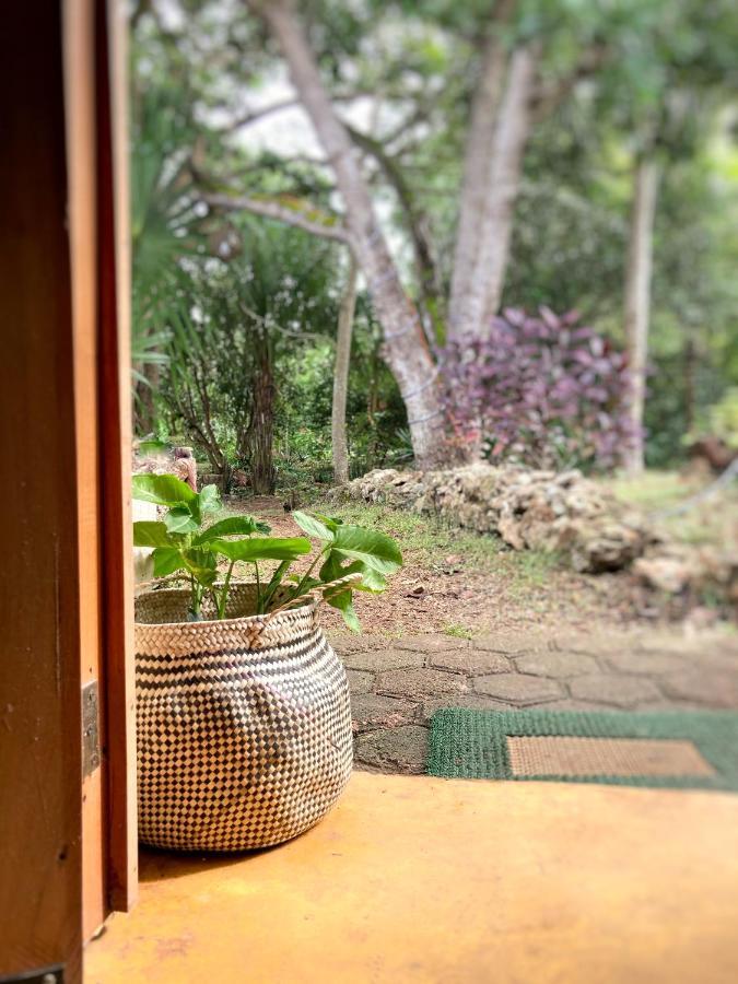 Encantadora Villa Maya Tradicional En Rancho Agroecologico Tzucaceb Exterior photo
