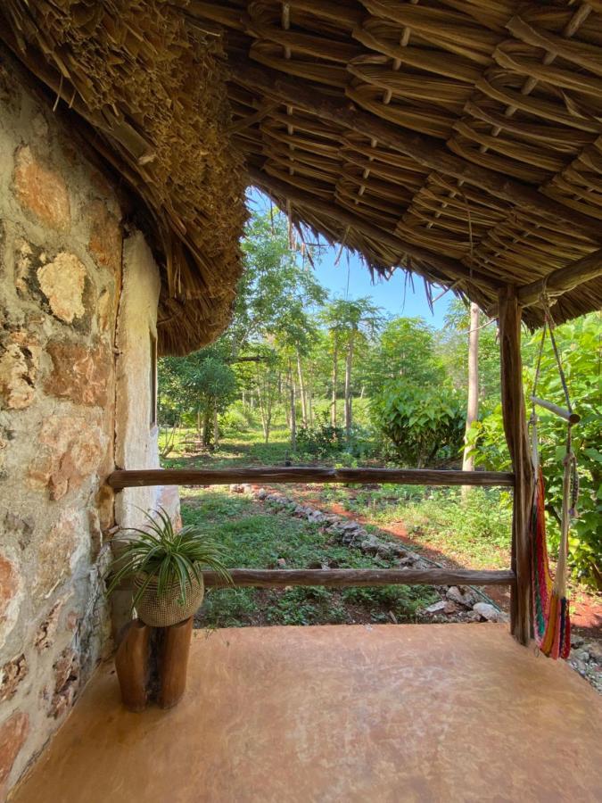 Encantadora Villa Maya Tradicional En Rancho Agroecologico Tzucaceb Exterior photo